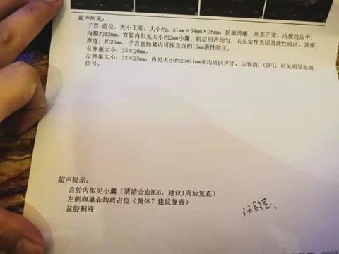 journal_insert_pic_1687414614