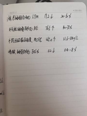 journal_insert_pic_1690036718