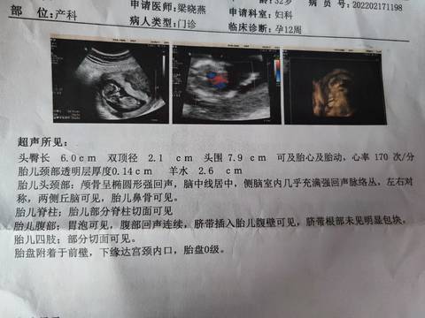 journal_insert_pic_1719600156