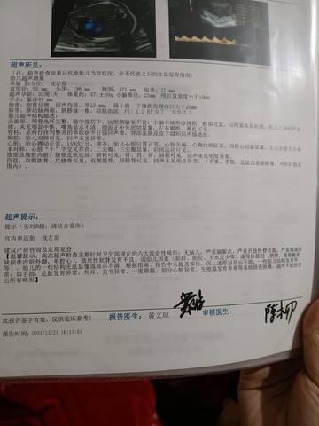 journal_insert_pic_1685502832