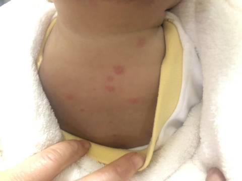 journal_insert_pic_1673105733