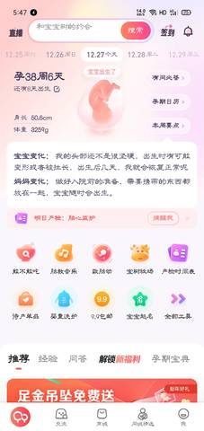 journal_insert_pic_1687234646