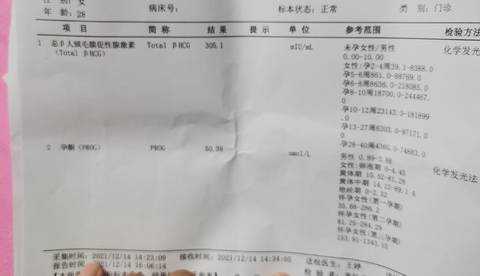 journal_insert_pic_1681047628