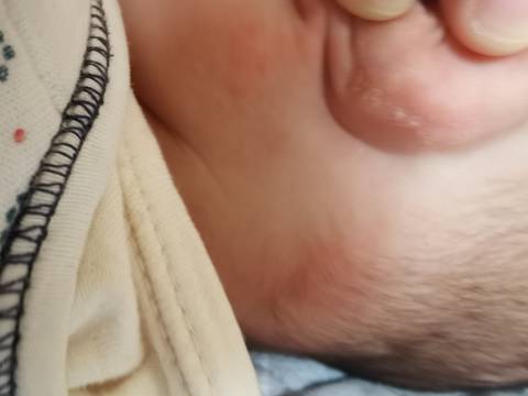 journal_insert_pic_1673475569