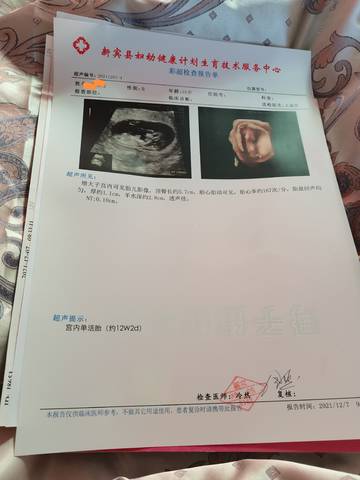 journal_insert_pic_1683307228