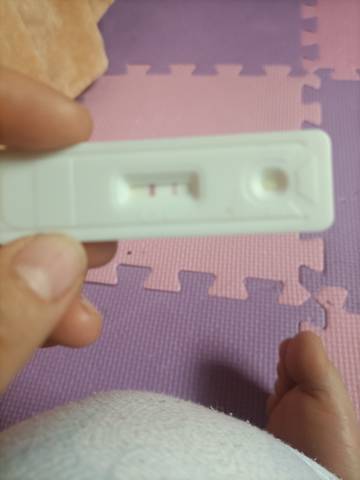 journal_insert_pic_1676277154