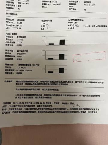 journal_insert_pic_1676302179