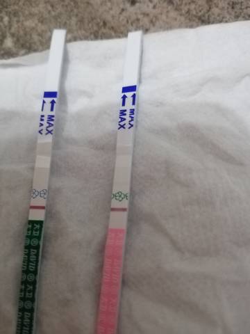 journal_insert_pic_1683110135