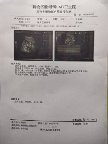 journal_insert_pic_1690191105