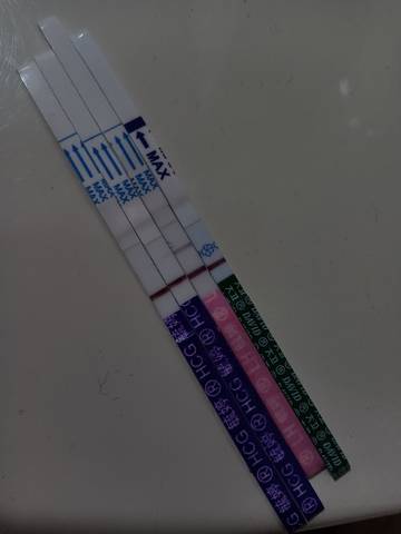 journal_insert_pic_1674492398