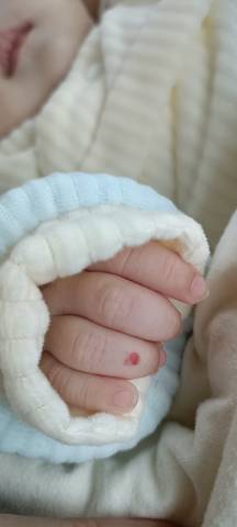 journal_insert_pic_1683457516