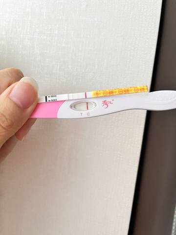 journal_insert_pic_1678889496