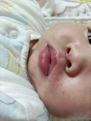 journal_insert_pic_1673578752