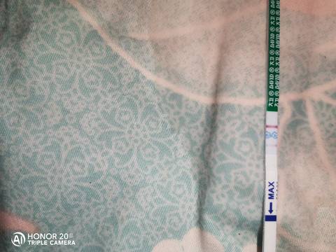 journal_insert_pic_1677182298