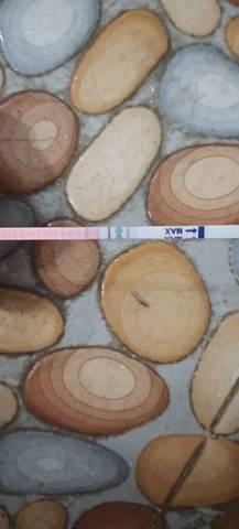 journal_insert_pic_1683410243