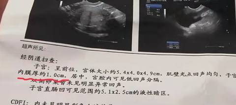 journal_insert_pic_1675512023