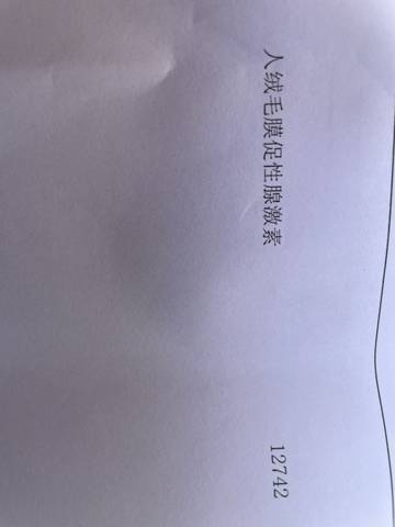 journal_insert_pic_1740972692