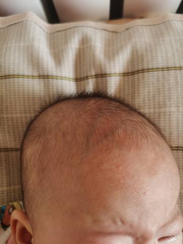 journal_insert_pic_1683010251