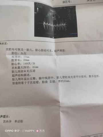 journal_insert_pic_1688827093