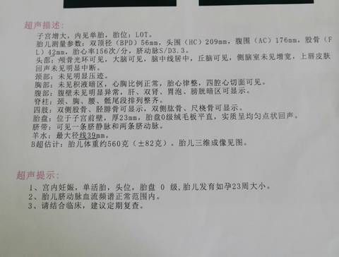 journal_insert_pic_1689817669