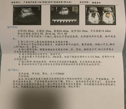 journal_insert_pic_1687921057