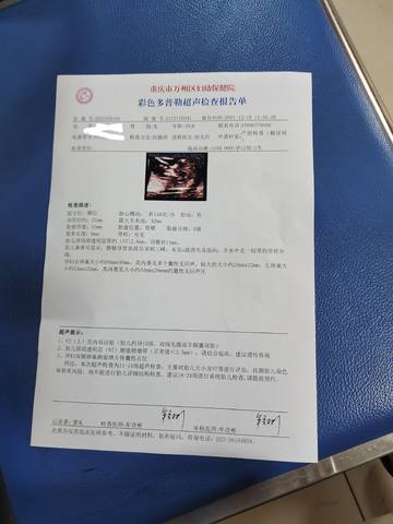 journal_insert_pic_1682364687