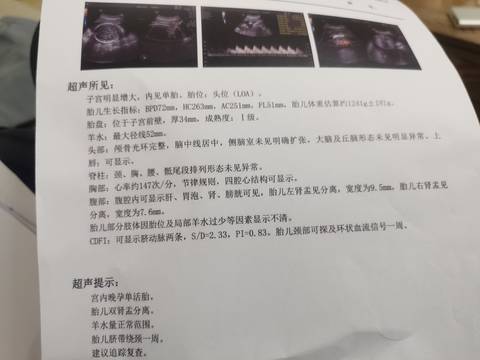 journal_insert_pic_1681748872