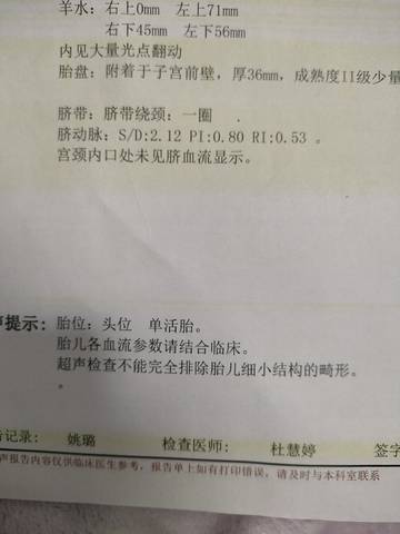 journal_insert_pic_1685407053