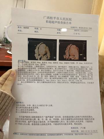 journal_insert_pic_1685409067