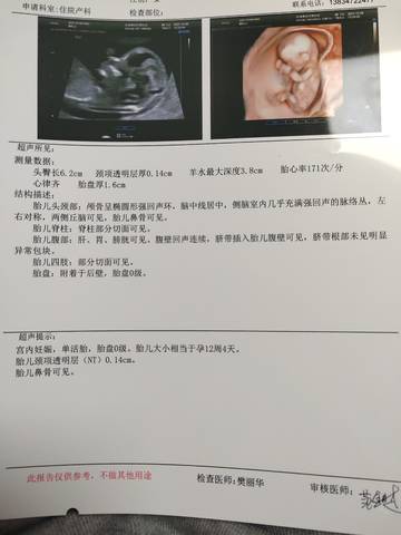 journal_insert_pic_1676033937