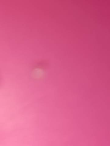 journal_insert_pic_1685485345