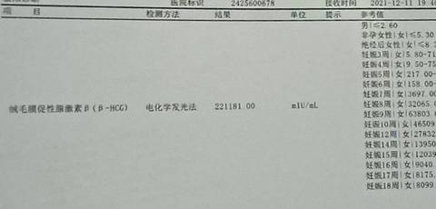 journal_insert_pic_1678744820