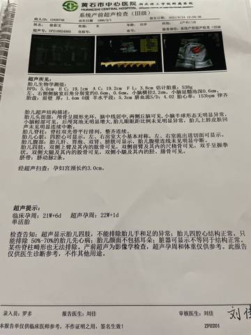 journal_insert_pic_1674260990