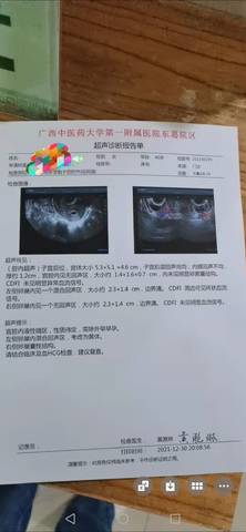 journal_insert_pic_1689940375
