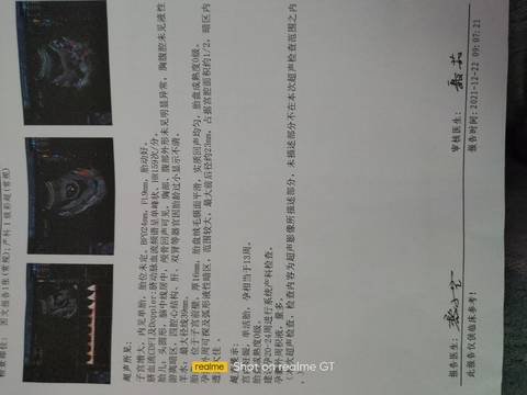 journal_insert_pic_1685288641