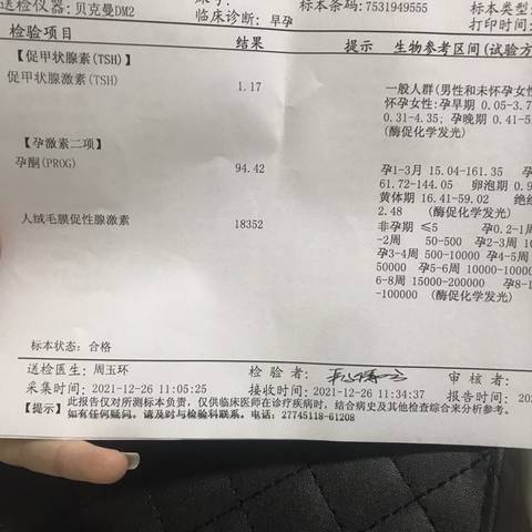 journal_insert_pic_1686584019