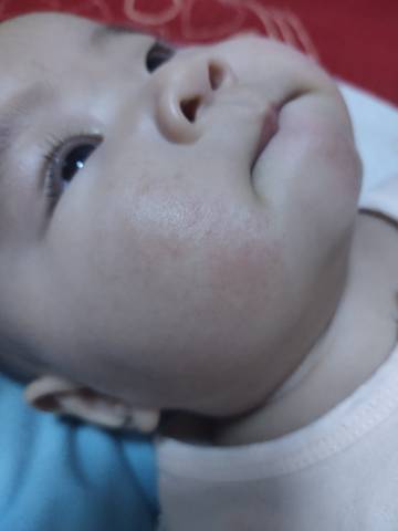 journal_insert_pic_1673137510