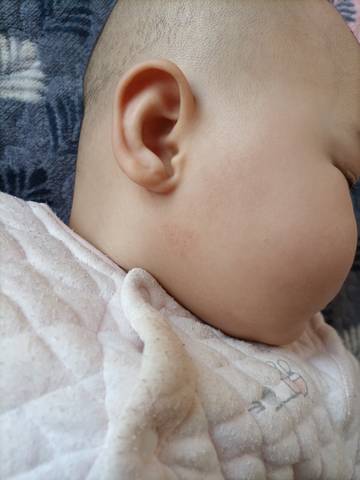 journal_insert_pic_1689974537