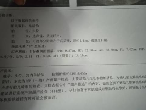 journal_insert_pic_1684327327