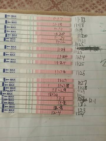 journal_insert_pic_1673574828