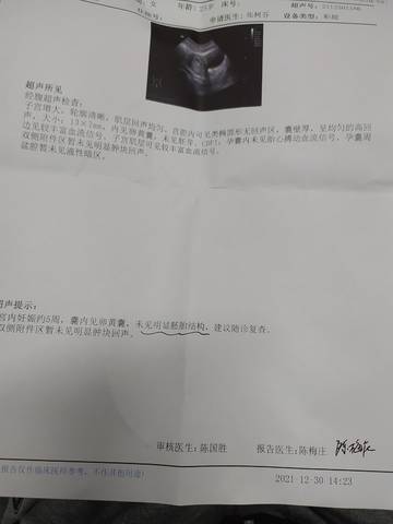 journal_insert_pic_1689052175