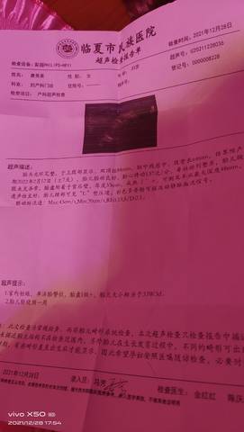 journal_insert_pic_1687834863