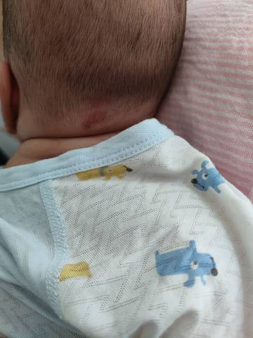 journal_insert_pic_1684302524