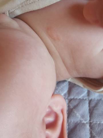 journal_insert_pic_1673475558