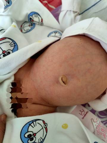 journal_insert_pic_1684381635