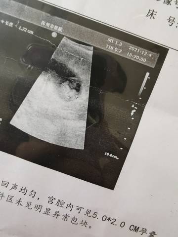 journal_insert_pic_1675294804