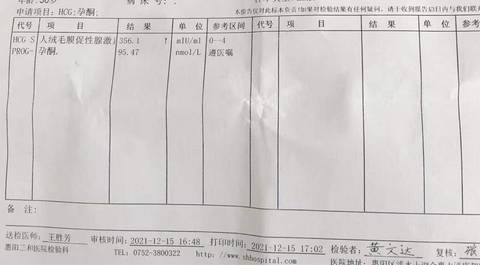 journal_insert_pic_1681657965