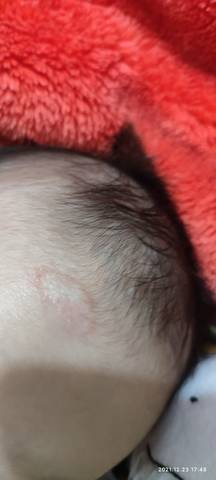 journal_insert_pic_1685012401