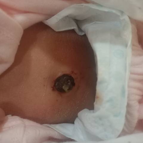 journal_insert_pic_1674131283