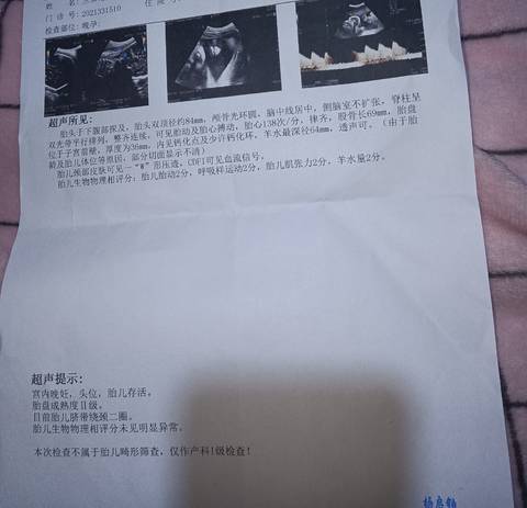 journal_insert_pic_1683458279